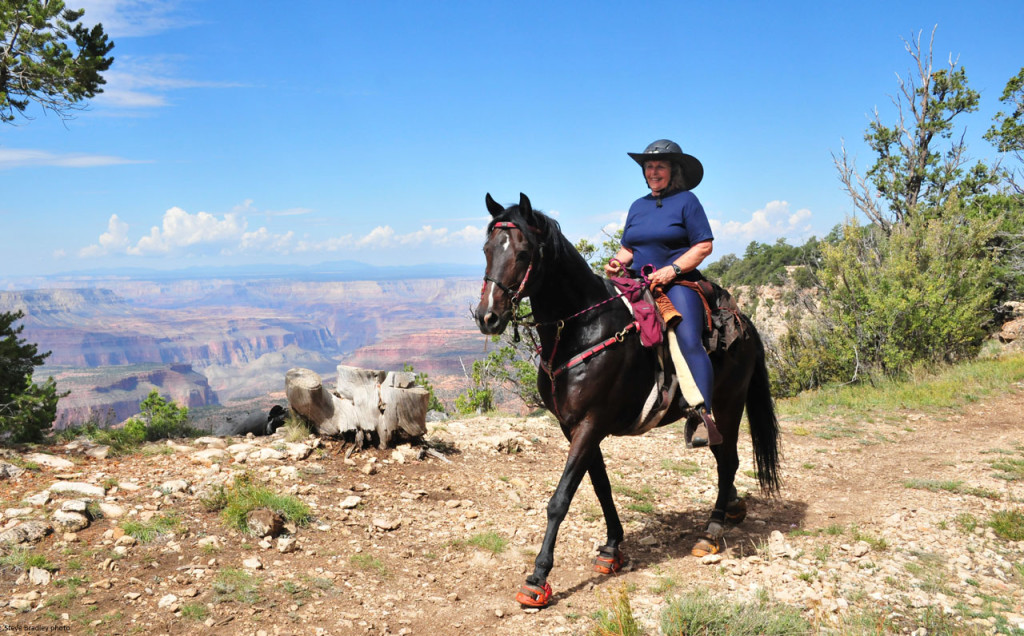 Celebrating 5000 Endurance Miles Renegade® Hoof Boots