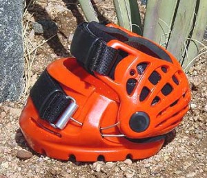 Renegade Horse Boot: Sport Orange