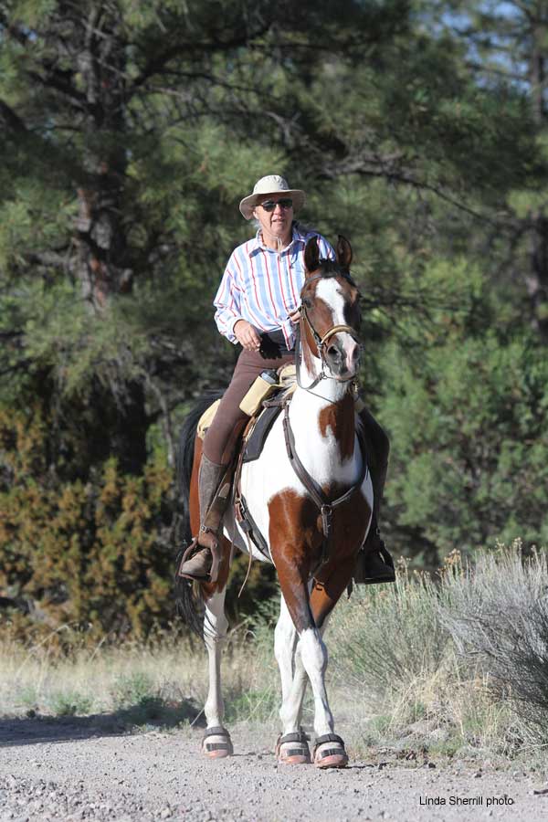 Renegade® Horse Boot Riders Rock 'Ride the Divide'