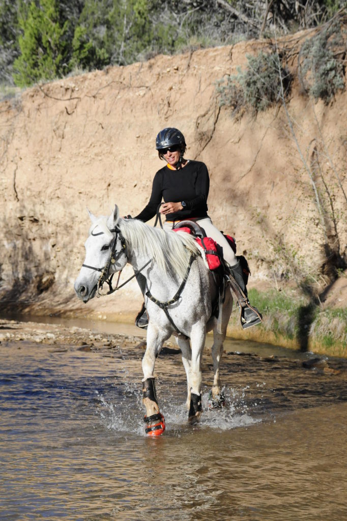 Renegade® Hoof Boots