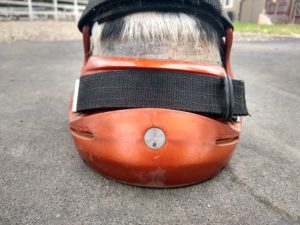 Renegade® Hoof Boot Quick Tips: Hoof Balance