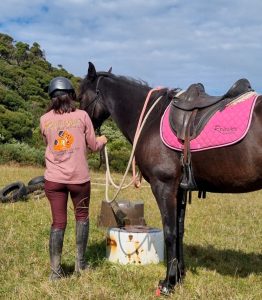 Renegade® English Saddle Pad 